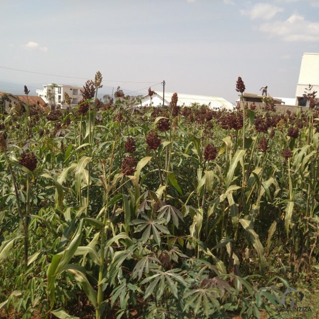 Plot for sale at kicukiro Gahanga +250788579170